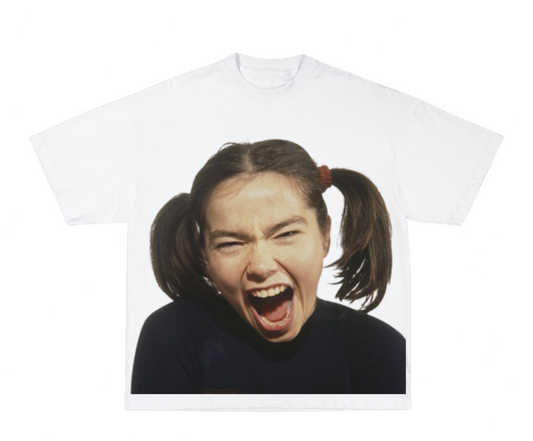 Bjork face